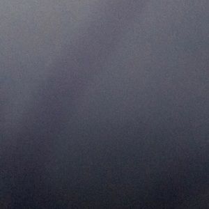 Meet your Posher, Chastity